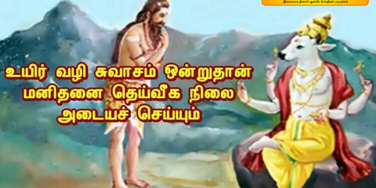 சுவாச நிலையின் சூட்சமத்தைப் பற்றி – திருமூலர்