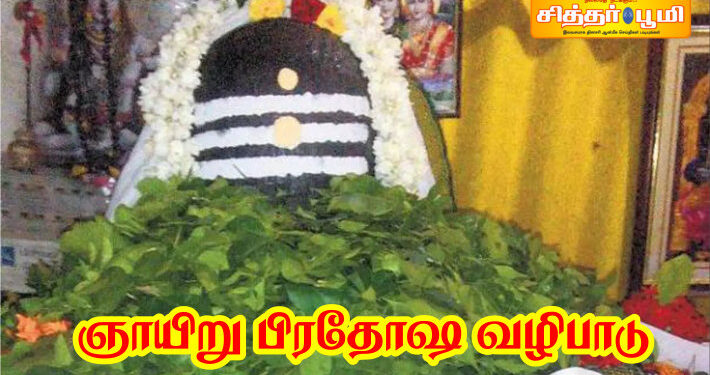 ஞாயிறு பிரதோஷ வழிபாடு?