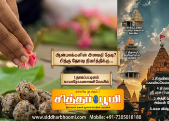 ஆன்மாக்களின் அமைதி தேடி?