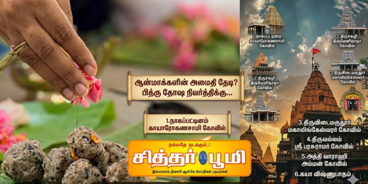 ஆன்மாக்களின் அமைதி தேடி?