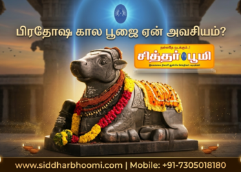 பிரதோஷ கால பூஜை ஏன் அவசியம்?