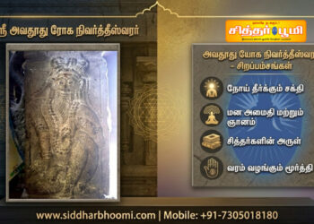 ஸ்ரீ அவதூது ரோக நிவர்த்தீஸ்வரர்