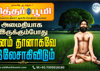 அமைதியாக இருக்கும்போது மனம் தானாகவே இலேசாகிவிடும்