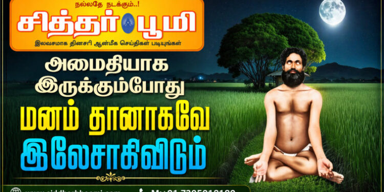 அமைதியாக இருக்கும்போது மனம் தானாகவே இலேசாகிவிடும்