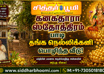 தங்க நெல்லிக்கனி பொழிந்த வீடு!