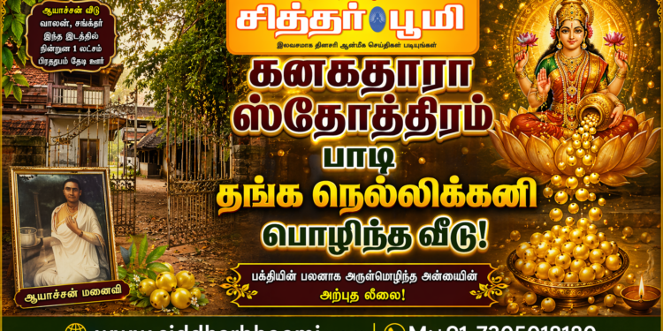 தங்க நெல்லிக்கனி பொழிந்த வீடு!