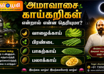 அமாவாசை காய்கறிகள் என்றால் என்ன தெரியுமா?