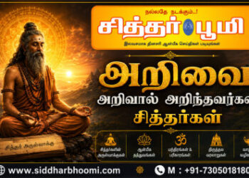 அறிவை அறிவால் அறிந்தவர்கள் சித்தர்கள்