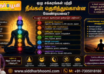 ஏழு சக்கரங்கள்