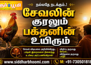 சேவலின் குரலும் பக்தனின் உயிரும்