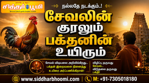 சேவலின் குரலும் பக்தனின் உயிரும்