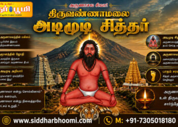 திருவண்ணாமலை அடிமுடி சித்தர்