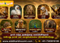 தெய்வங்களின் வாகனங்களின் வரலாறு