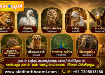 தெய்வங்களின் வாகனங்களின் வரலாறு