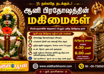 ஆனி பிரதோஷத்தின் மகிமைகள் 