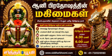 ஆனி பிரதோஷத்தின் மகிமைகள் 