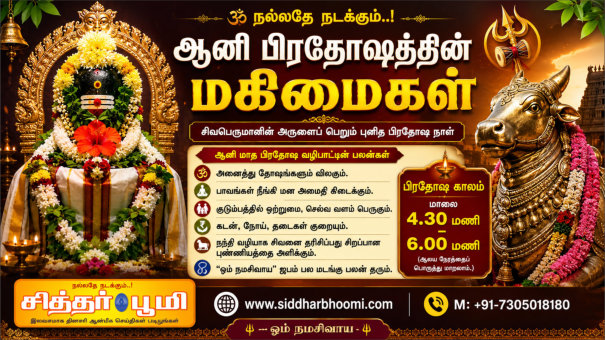 ஆனி பிரதோஷத்தின் மகிமைகள்