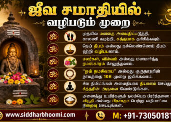 ஜீவ சமாதியில் வழிபடும் முறை 
