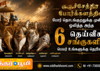 6 தெய்வீக சங்குகளின் பெயர் உங்களுக்கு தெரியுமா?