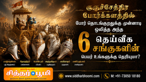 6 தெய்வீக சங்குகளின் பெயர் உங்களுக்கு தெரியுமா?