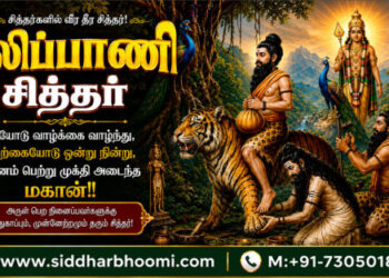 புலிப்பாணி சித்தர்
