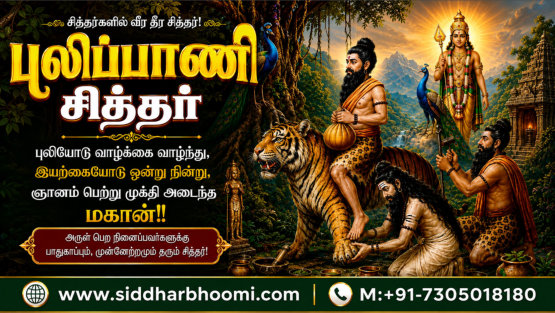புலிப்பாணி சித்தர்