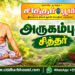 அருகம்புல் சித்தர்