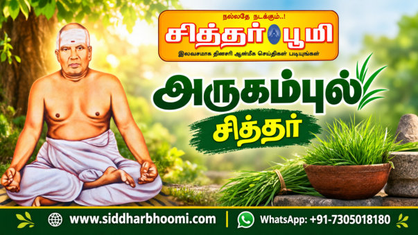 அருகம்புல் சித்தர்