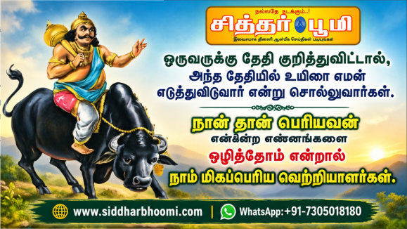 சிற்பிக்கு இறக்க விருப்பமில்லை?