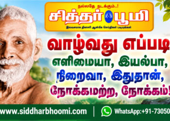 வாழ்வது எப்படி?